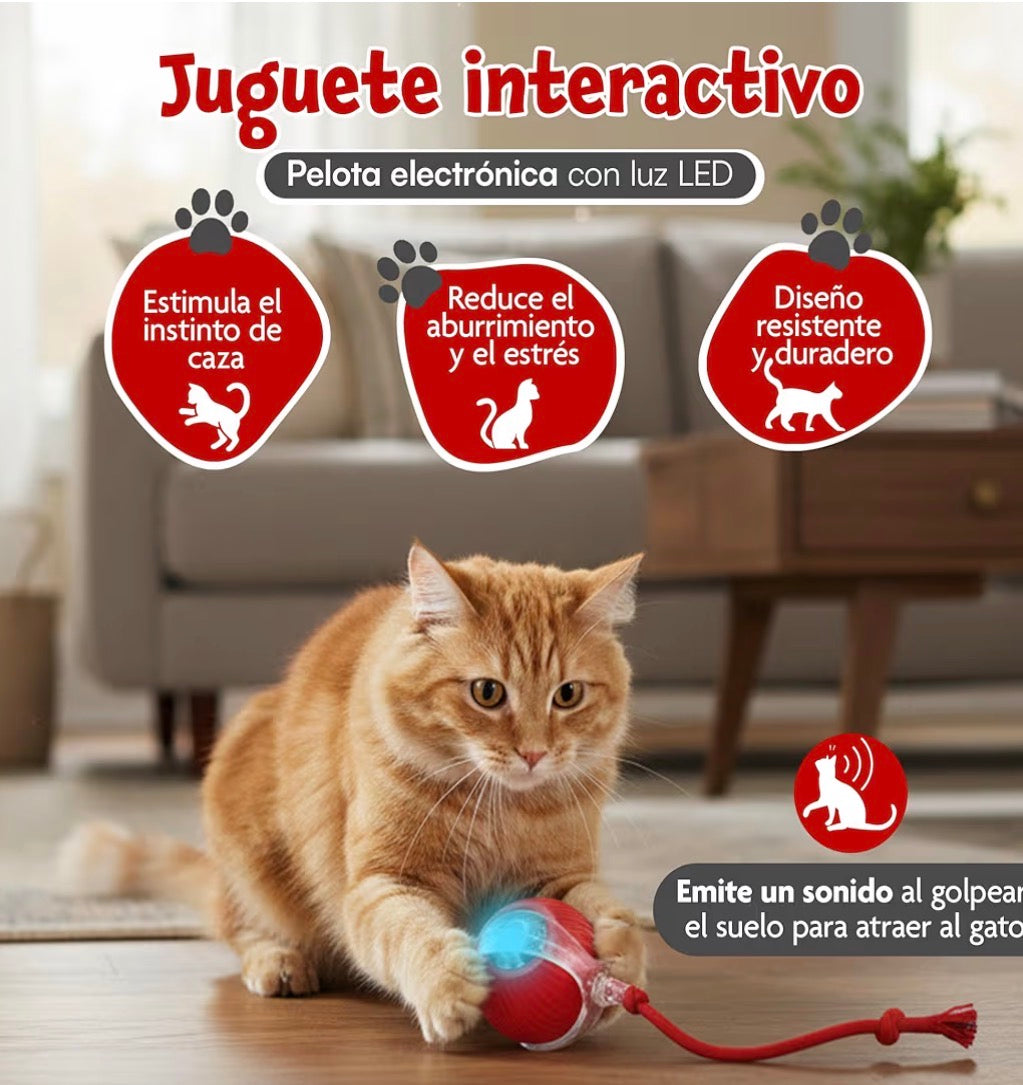 Pelota interactiva para mascotas